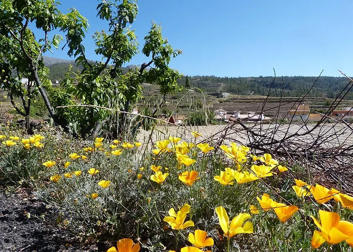 German Guest house Vilaflor