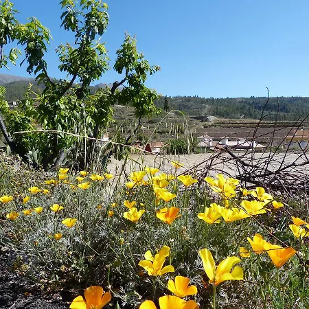 German ゲストハウス ビラフロール